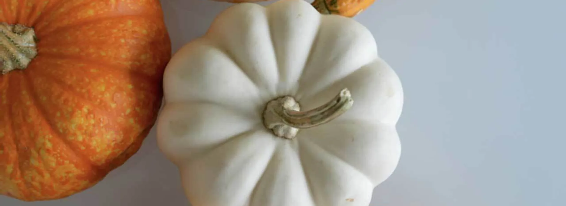 Halloweenska večera s plavbou