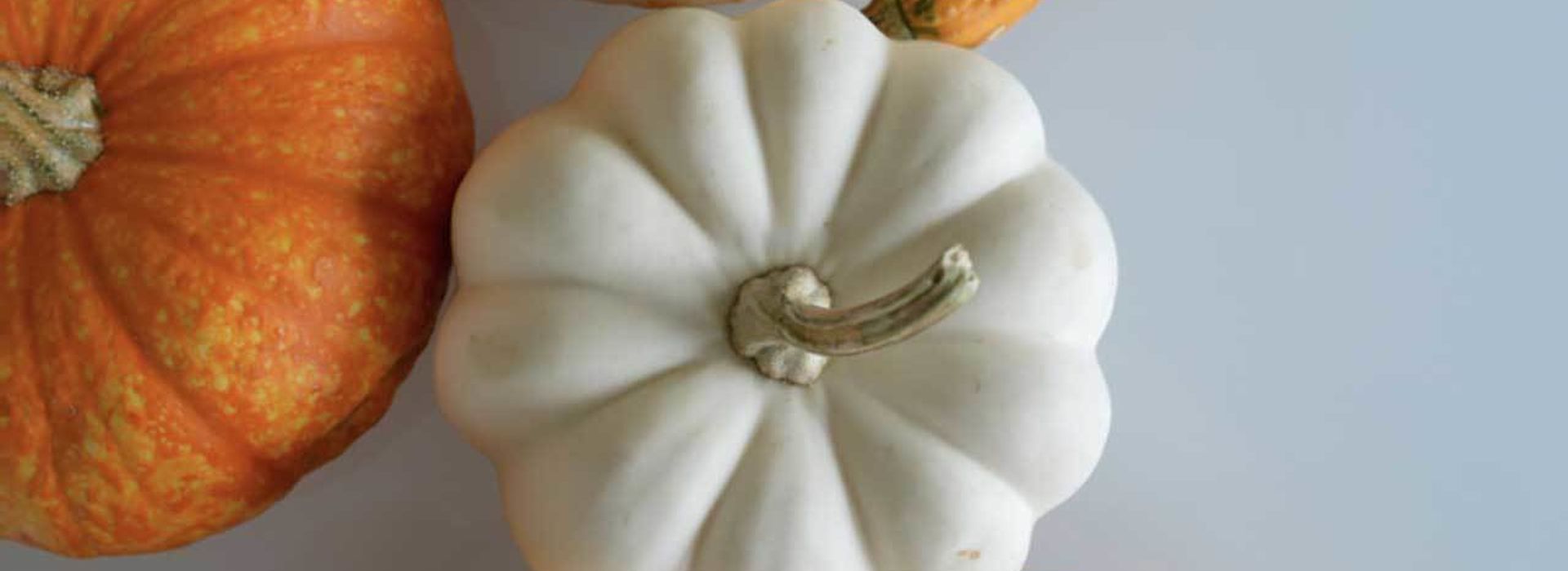 Halloweenska večera s plavbou