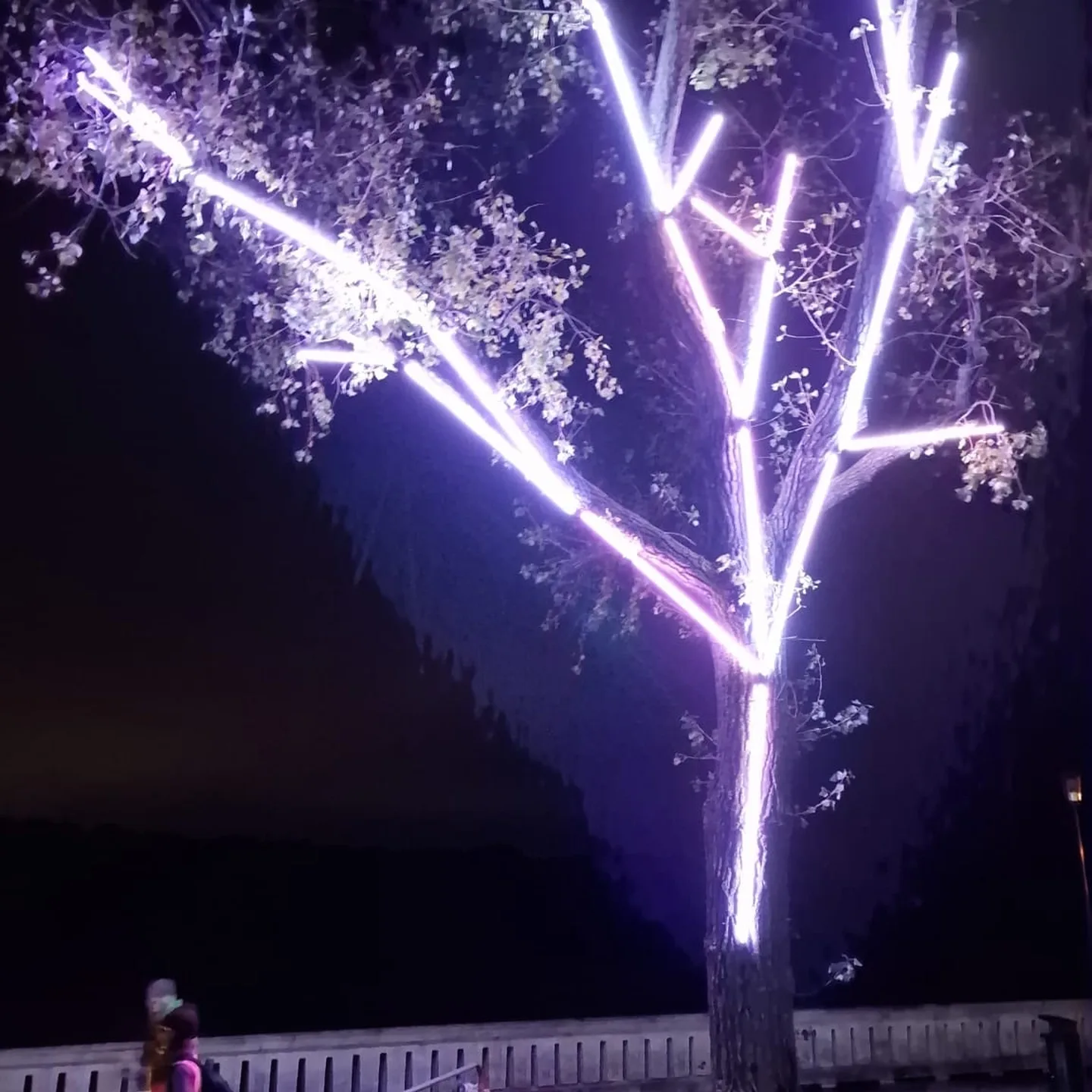 Biela noc 2025