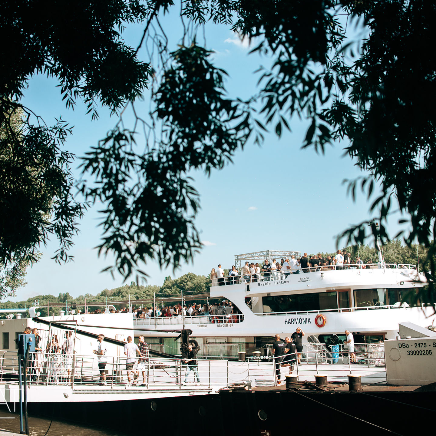 MY BEAT Summer Opening Cruise