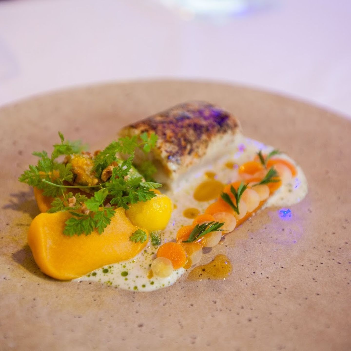 Prezentácia Gastrostar