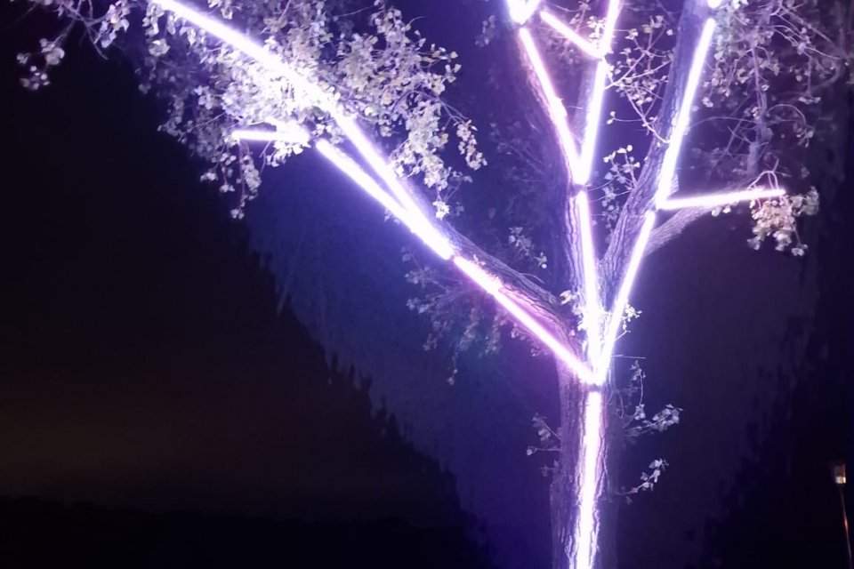 Biela noc