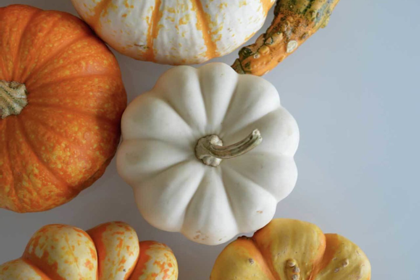 Halloweenska večera s plavbou