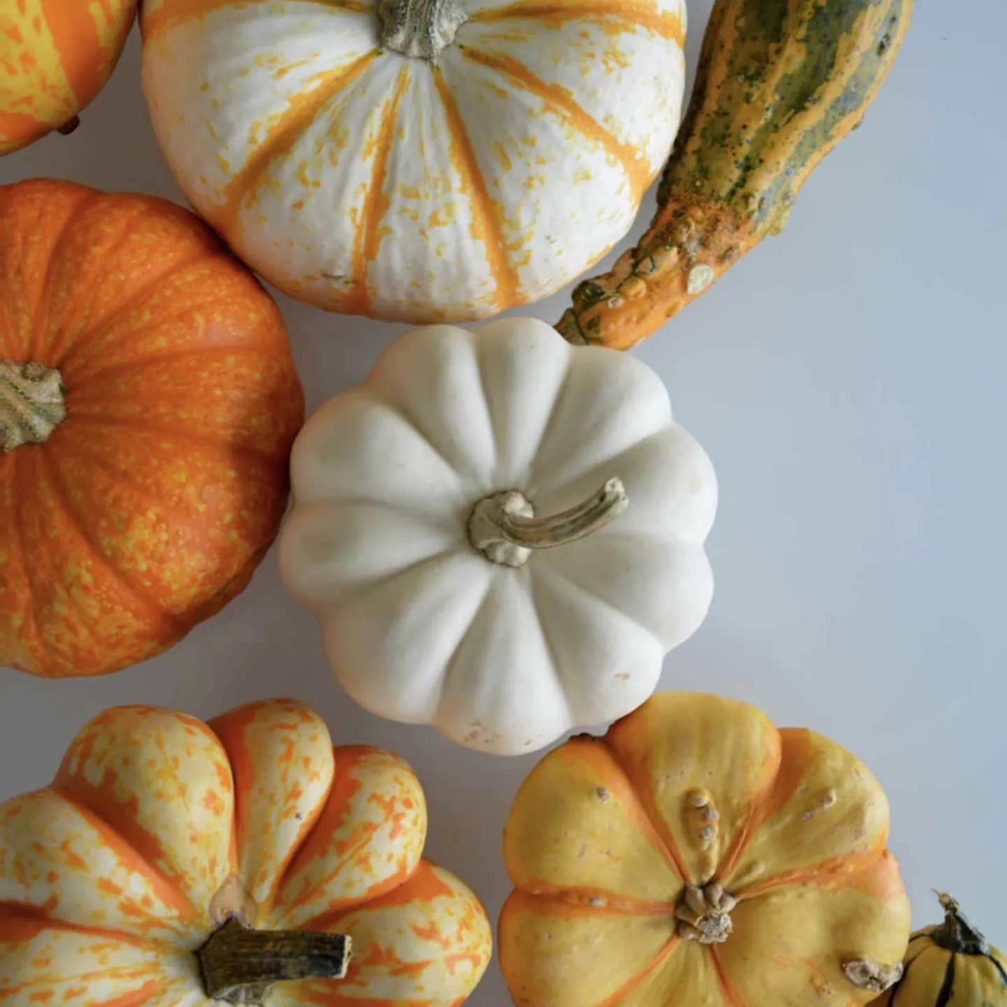 Halloweenska večera s plavbou